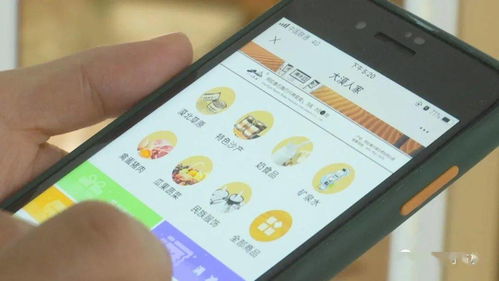 阿右旗 打造電商產(chǎn)業(yè)鏈，助力特色產(chǎn)品行穩(wěn)致遠(yuǎn)